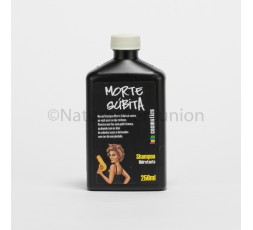 MORTE SUBITA